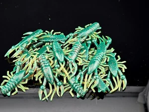 (16) 2" MINI CRAW "Motor Oil/Red" Crappie Panfish Jig Crawfish Lure Soft Plastic - Picture 1 of 3
