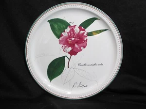 Villeroy & Boch Camellia Canduifora Rubra Decorator Plate Made in Germany - Bild 1 von 2