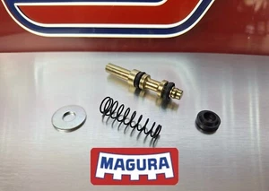 Pistoncino Kit Revisione Pompa Freno Magura 13mm Malaguti Fifty TOP 86 - 94 - Foto 1 di 3