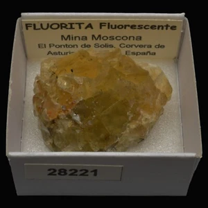FLUORITA Fluorescente (Moscona mine, El Ponton, Asturias) #28221 / Fluorite - Imagen 1 de 2