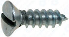 100 #6 X 1/2 Slotted Oval Head Tapping Screws Zinc