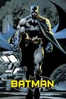 Batman Dark Knight comic art reproduction poster 24x36 Jim Lee