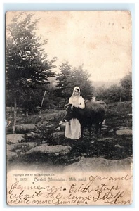 Catskill Mountain NY Milchmädchen Frau mit Kuheimer UDB Rotograph Postkarte B13 - Bild 1 von 2
