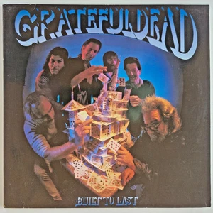 GRATEFUL DEAD - BUILT TO LAST - 12” VINYL LP - Picture 1 of 10