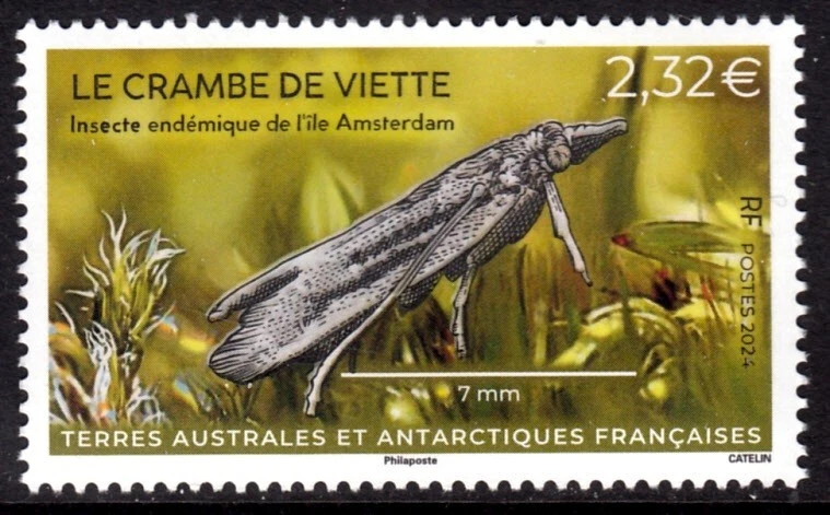TAAF FRANCE ANTARCTIC 2024 INSECTS INSECTES INSEKTEN FSAT - Image 1 of 1
