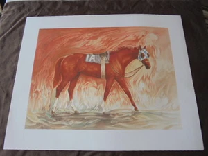 SECRETARIAT: THE WORLD MÁS GRANDE TRIPLE CORONA GANADORA ""RARA"" 16 x 20 PINTURA - Imagen 1 de 2