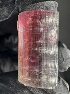Top Rubellit Roter Turmalin 43,3 Karat Wassermelone Natur Stufe Qualität Groß - Bild 1 von 10