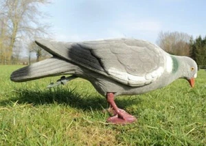 Flocked Pigeon Decoy High Quality Full Body Feet Peg and Stick Feeding Decoy - Picture 1 of 5