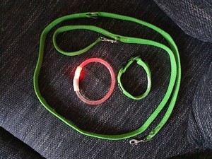 Halsband Leine Set In Hundeleinen Gunstig Kaufen Ebay