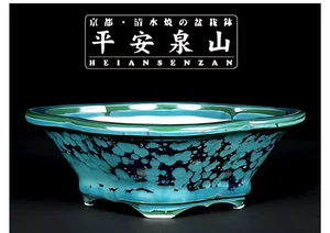 Pack Velocidad Bonsai Olla Kiyomizu HEIAN SENZAN 6.1" (15.5cm) Verde Esmaltado Pequeño - Imagen 1 de 5
