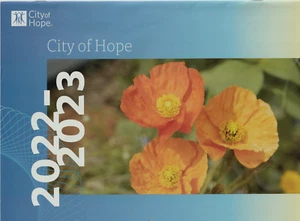 2022-2023 Stadt der Hoffnung 16 Monate Wandkalender Neu Ruhig Campus Räume Fotos - Bild 1 von 2