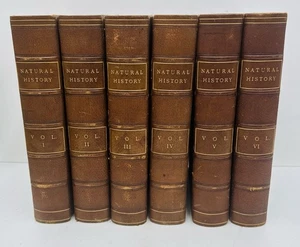 1893 ROYAL NATURAL HISTORY By RICHARD LYDEKKER 6 x Vol Set FINE COLOUR PLATES - Picture 1 of 15