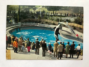 Vintage Vancouver Public Aquarium Orca Jumping Postcard Killer Whale - Picture 1 of 2