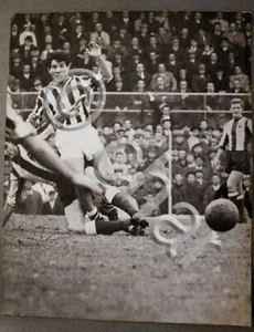 Fotografia Calcio Juventus - Lanerossi Vicenza 1963 Omar Sivori in azione - Picture 1 of 1