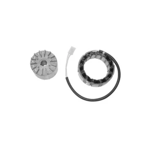 Alternatore 350W Per Guzzi 1100 California Classic KDG 2006 2007 2008 2009 2010 - Foto 1 di 3