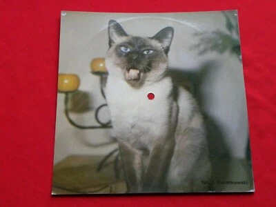 JULIO IGLESIAS passar di mano RARE 1980 POLISH FLEXI Tonpress - Image 1 of 2