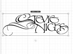 Stevie Nicks Logo  Die Cut Vinyl Sticker Classic Punk Hard Rock Roll Metal Band!