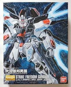 BANDAI MG 1/100 Strike Freedom Gundam OKAWARA KUNIO exhibition limited scale kit - Picture 1 of 12
