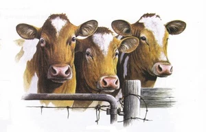 SUPERBE TEE SHIRT Haute Qualité   VACHES  . S  M  L  XL  XXL  XXXL + ENFANT   - Picture 1 of 1