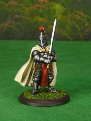 PAINTED 28MM FANTASY PATHFINDER D&D DUNGEONS & DRAGONS FIGHTER KNIGHT PALADIN - Image 1 of 4