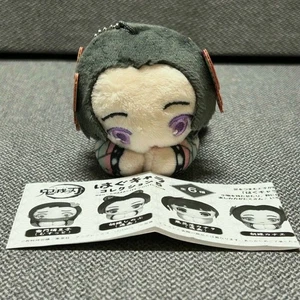 Demon Slayer Kanae Kocho Plüsch Riemen Schlüsselanhänger 3,5 Zoll Umarmung Chara Sammlung Japan - Bild 1 von 19