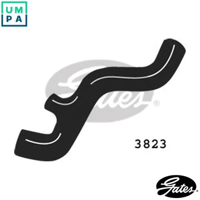 RADIATOR HOSE 3823 - Image 1 of 4