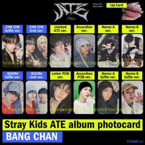 Album fisarmonica Stray Kids ha mangiato lettera limitata Lip card cartolina fotografica BangChan - Foto 1 di 1