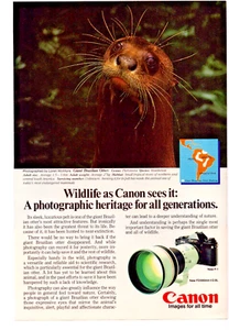 Canon Camera Giant Brazilian Otter Wildlife Heritage Vintage Print Ad 1982 - Picture 1 of 4
