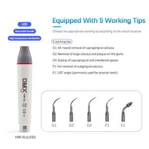 Escalador ultrasónico dental pieza de mano HW-5L HP-5L luz LED ajuste EMS pájaro carpintero - Imagen 1 de 50