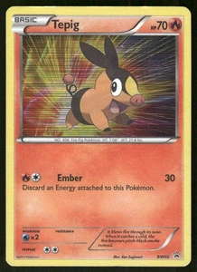 Pokemon Tcg Tepig #BW02 Pokemon Promo LP - Picture 1 of 2