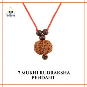 Premium Quality 7 Mukhi Rudraksha Pendant – Authentic Nepal Origin - Picture 1 of 3