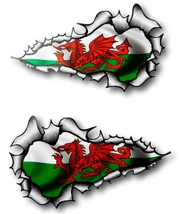 XL 30 cm LARGO Par de Manos Rasgado Metal Galés Gales CYMRU Bandera Coche Pegatina - Imagen 1 de 1