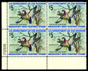 RW41 — 1974 Francobollo Anatra Federale PB/4 SOTTO LA FACCIA! - Foto 1 di 1