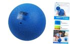 GSE Inflatable Playground Ball,Kickball,Bouncy Dodge Blue 8.5-Inch