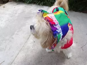 dog pet bonnet with lace trim, multi-colored, Small (**read details for size) - Picture 1 of 3