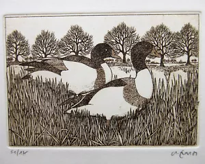 Original Radierungen Margit Ewert - Jahr 1981 - 2 Enten nummer -/175 - Bild 1 von 7