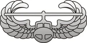 Calcomanía insignia asalto aéreo - Calcomanía del ejército de Estados Unidos - Calcomanía gráfica militar de 4" - Imagen 1 de 1