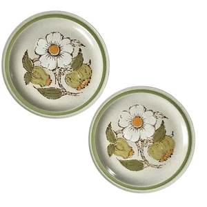 VTG 70's Daisy Plate International China Statastone Verte Dinner Plate x2 10-3/8 - Picture 1 of 9