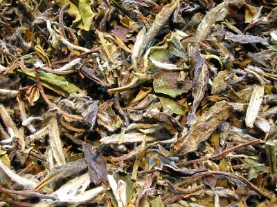 100g Weisser Tee China Pai Mu Tan Bio - Bild 1 von 3