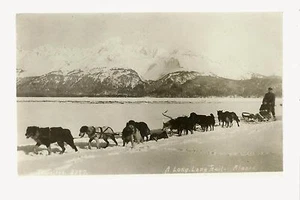 ALASKA RP c1910 Sled Dogs DOG SLED Sledding MAN & BOY Snow Wilderness Thwaites - Picture 1 of 2
