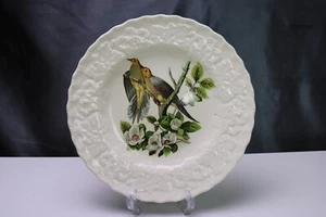 Alfred Meakin England Birds of America 9 " Luncheon Plate Carolina Turtle Dove - Picture 1 of 4