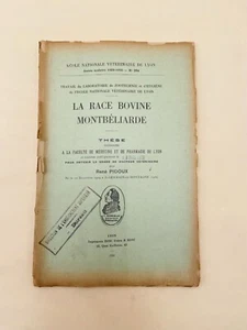 Die Rinderrasse Montbéliarde - Tierarztarbeit - René Pidoux - 1930 - Bild 1 von 3