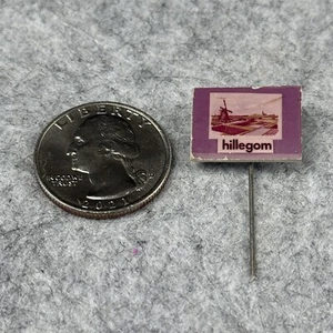 Insignia prendedor de palo vintage holandés de Hillegom Town en Holanda #49837 - Imagen 1 de 2