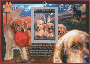 FRENCH GUINEA - ERROR, 2011 IMPERF SHEET: DOGS, Domestic Animals, Flora & Fauna - Picture 1 of 1