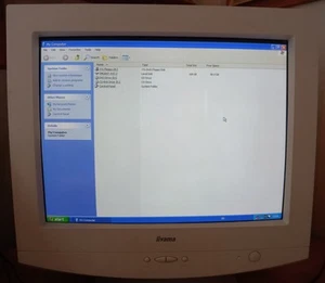 Iiyama 19-inch beige-colored CRT monitor - Picture 1 of 2