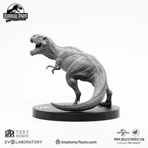 Evolaboratory 1/32 Digital Version Female T-Rex Anatomy Tool Teaching Model New - Picture 1 of 11