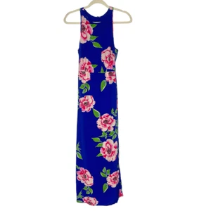 Yumi Kim Silk Maxi Dress Small Blue Pink Green Dream Floral Long Sleeveless Flaw - Picture 1 of 16