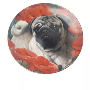 Danbury Mint Deko Mops Teller "Poppy Love" Simon Mendez 8" #A6619 - Bild 1 von 6