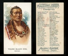 1888 N2 Allen & Ginter American Indian Chiefs "Young Black Dog" VG/EX+ *AA-4225*