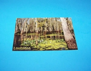  Louisiana Sumpf Postkarte   - Bild 1 von 2